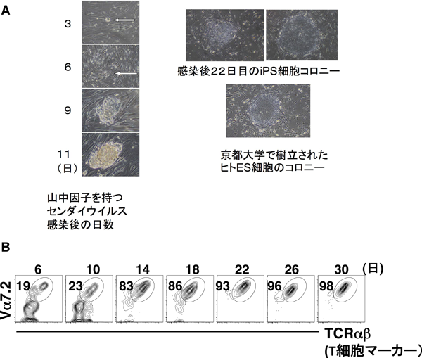 Journal of Japanese Biochemical Society 87(1): 112-115 (2015)