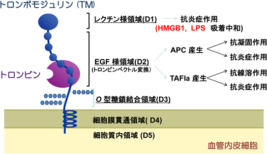 Journal of Japanese Biochemical Society 87(2): 188-193 (2015)