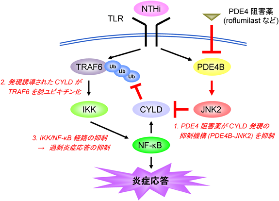 Journal of Japanese Biochemical Society 87(2): 254-257 (2015)