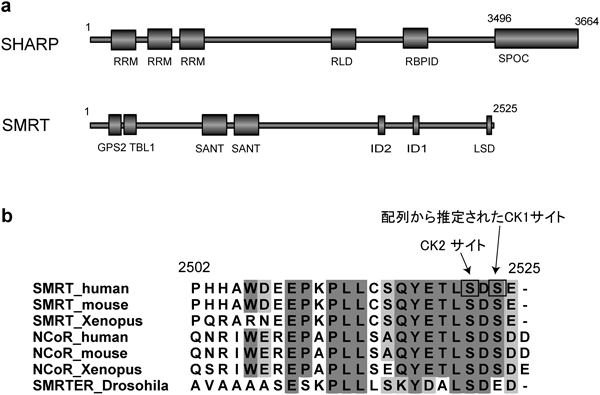 Journal of Japanese Biochemical Society 87(2): 258-261 (2015)