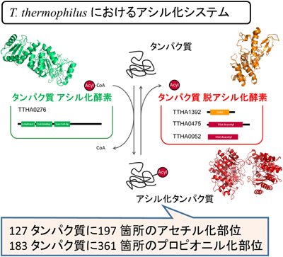 Journal of Japanese Biochemical Society 87(3): 286-291 (2015)