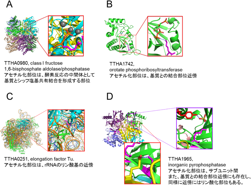 Journal of Japanese Biochemical Society 87(3): 286-291 (2015)