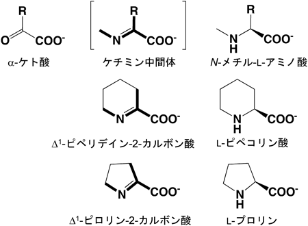 Journal of Japanese Biochemical Society 87(3): 326-332 (2015)