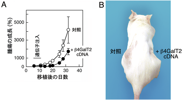 Journal of Japanese Biochemical Society 87(3): 373-377 (2015)
