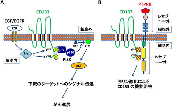 Journal of Japanese Biochemical Society 87(3): 389-392 (2015)