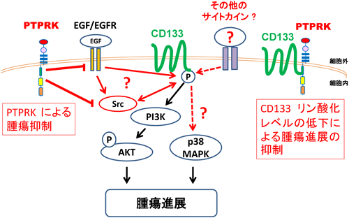 Journal of Japanese Biochemical Society 87(3): 389-392 (2015)