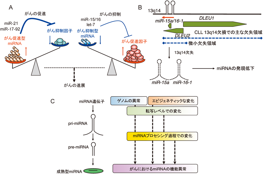 Journal of Japanese Biochemical Society 87(4): 413-421 (2015)
