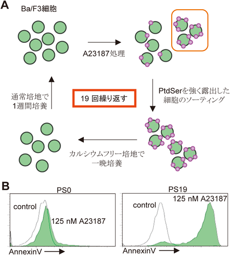 Journal of Japanese Biochemical Society 87(4): 422-427 (2015)