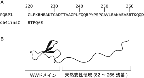 Journal of Japanese Biochemical Society 87(4): 478-480 (2015)