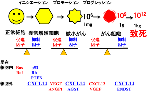 Journal of Japanese Biochemical Society 87(5): 591-596 (2015)