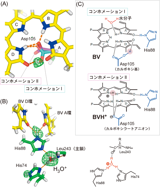 Journal of Japanese Biochemical Society 87(6): 753-757 (2015)