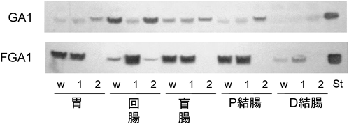 Journal of Japanese Biochemical Society 88(3): 354-368 (2016)