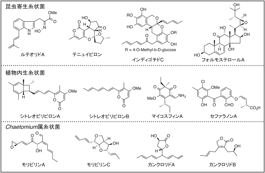 Journal of Japanese Biochemical Society 88(5): 643-648 (2016)