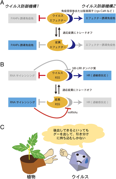 Journal of Japanese Biochemical Society 89(3): 436-440 (2017)