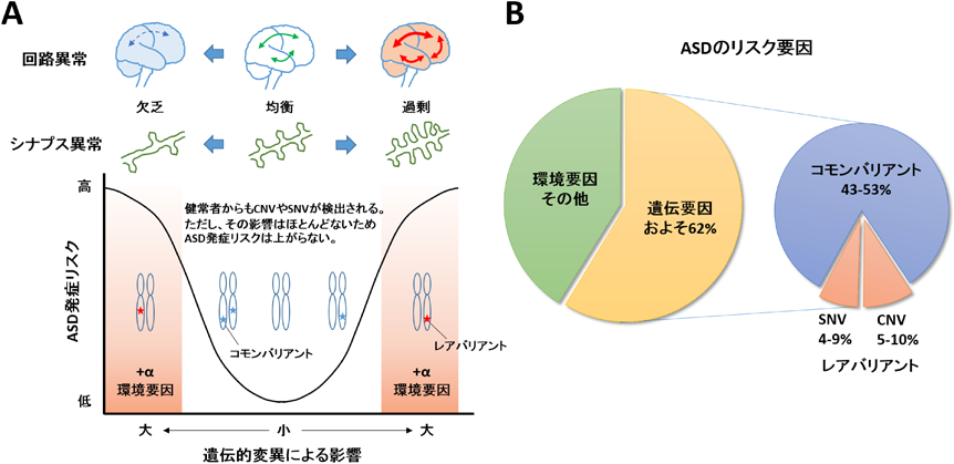 Journal of Japanese Biochemical Society 90(4): 462-477 (2018)