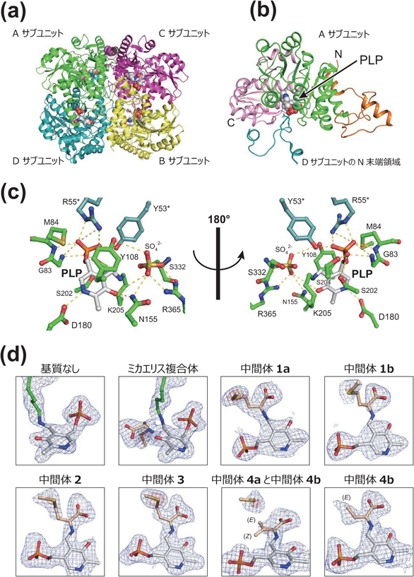 Journal of Japanese Biochemical Society 90(6): 791-796 (2018)