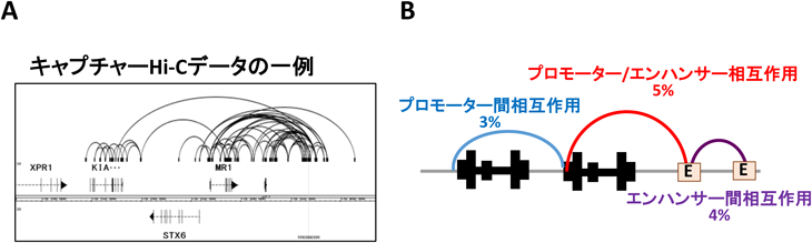 Journal of Japanese Biochemical Society 90(6): 839-841 (2018)