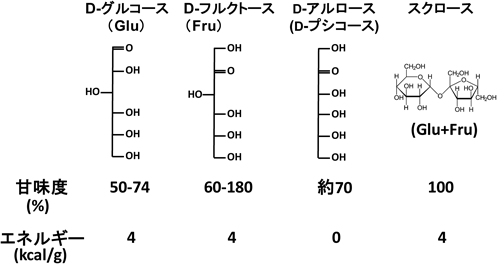 Journal of Japanese Biochemical Society 91(1): 58-64 (2019)