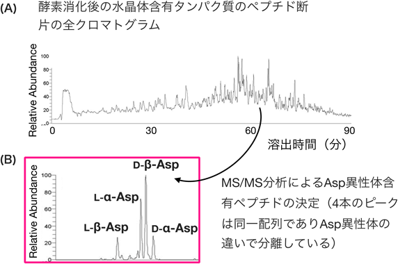 Journal of Japanese Biochemical Society 91(3): 322-328 (2019)