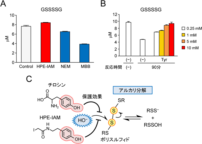 Journal of Japanese Biochemical Society 91(3): 388-398 (2019)
