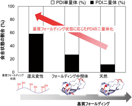 Journal of Japanese Biochemical Society 92(1): 107-112 (2020)