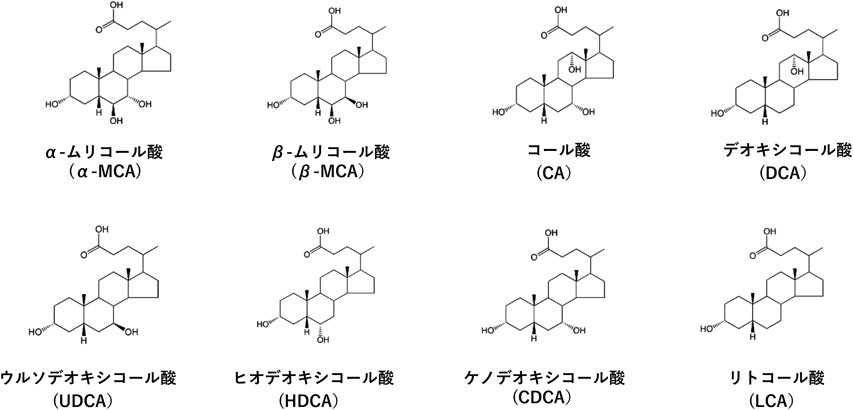 Journal of Japanese Biochemical Society 92(5): 680-687 (2020)