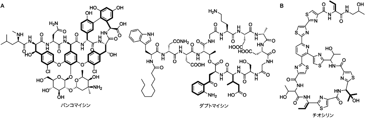 Journal of Japanese Biochemical Society 93(3): 315-321 (2021)
