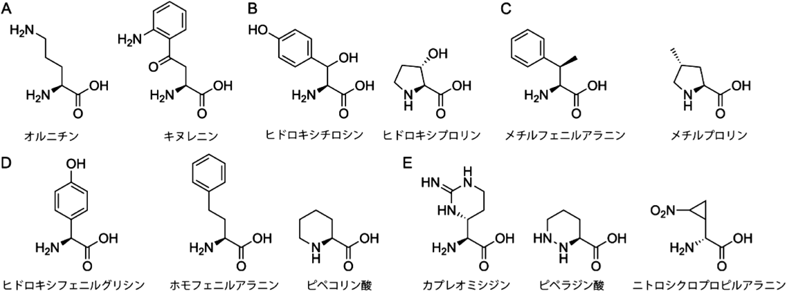Journal of Japanese Biochemical Society 93(3): 315-321 (2021)