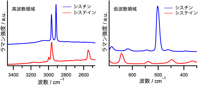 Journal of Japanese Biochemical Society 93(5): 621-627 (2021)