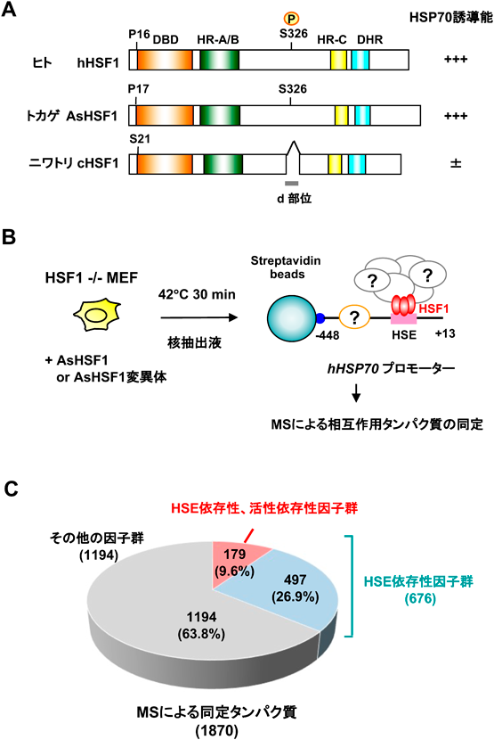 Journal of Japanese Biochemical Society 94(1): 102-107 (2022)