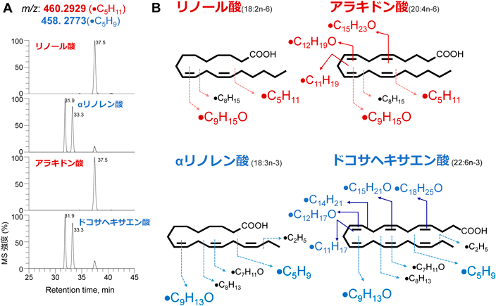 Journal of Japanese Biochemical Society 94(3): 329-340 (2022)