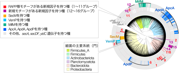 Journal of Japanese Biochemical Society 97(4): 519-523 (2025)
