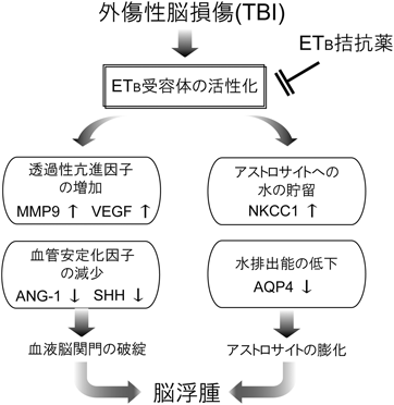 Journal of Japanese Biochemical Society 97(5): 682-685 (2025)