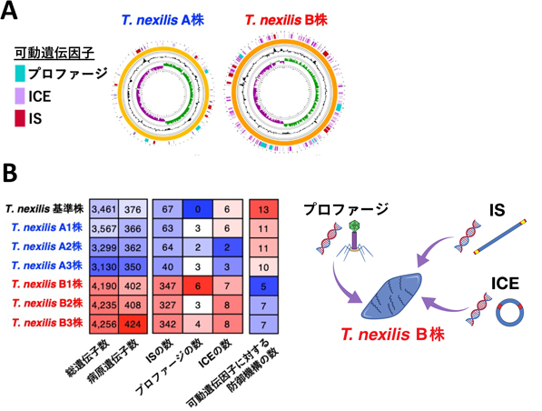 Journal of Japanese Biochemical Society 97(5): 686-690 (2025)