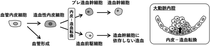 Journal of Japanese Biochemical Society 98(1): 107-110 (2026)